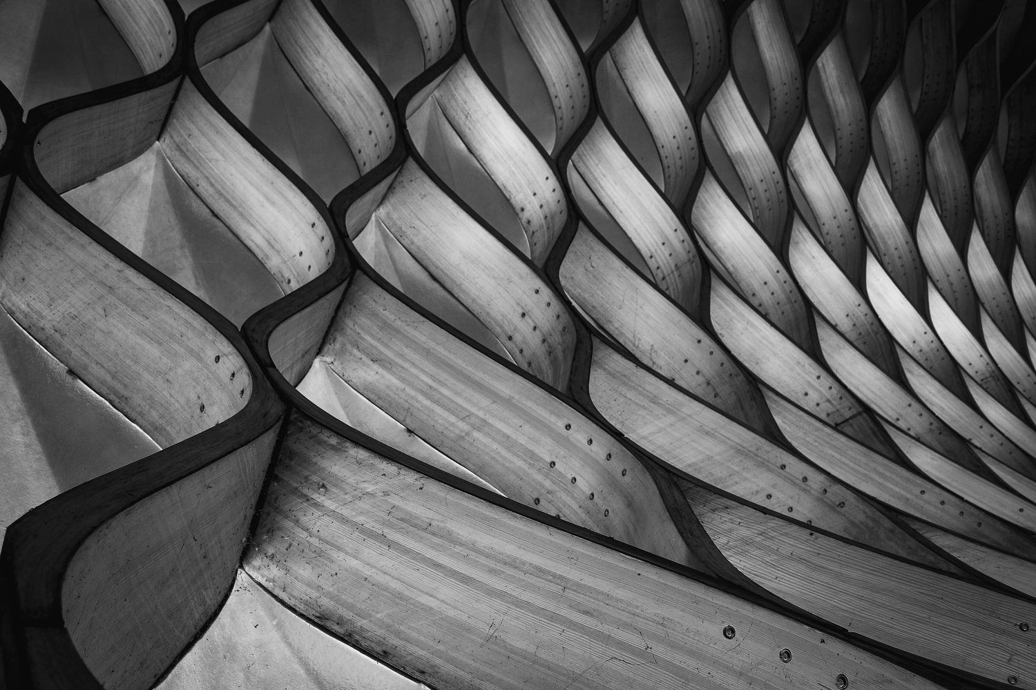 Costruiamo dal legno la meraviglia